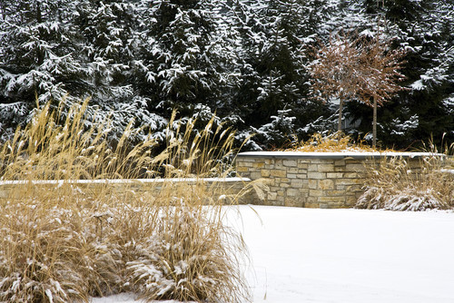 snowy fenceline