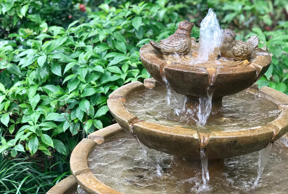 bird bath fountain