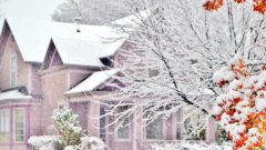house in background of snowy branches and leaves