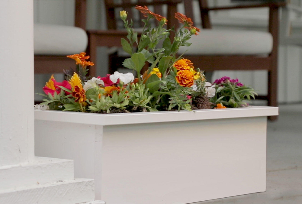 potted flowers