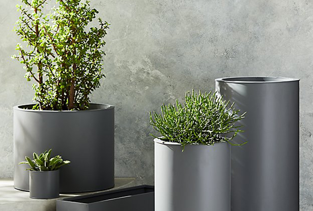 plants potted in gray pots