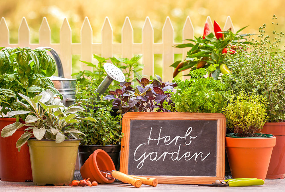 potted herbs chalkboard sign