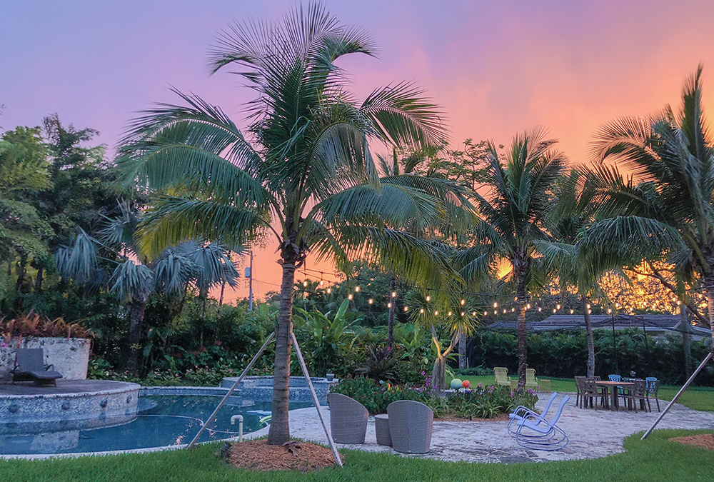 tropical backyard at sunset