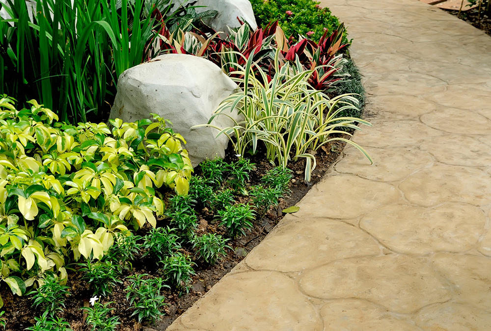 Sidewalk Garden