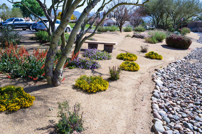 The same landscape two years after planting