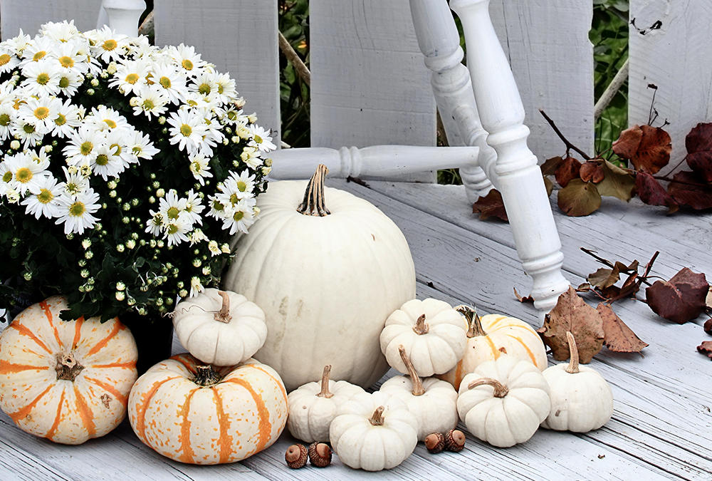 Large and Small Pumpkins