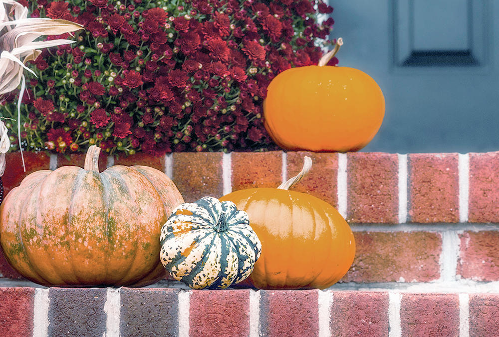 Pumpkins on Brick Step