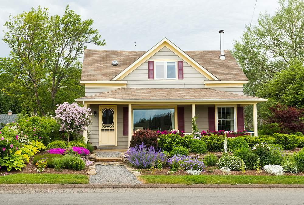 Colorful Front Garden