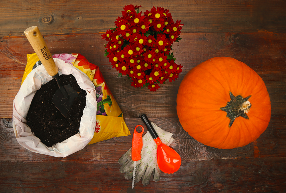 pumpkin potting supplies