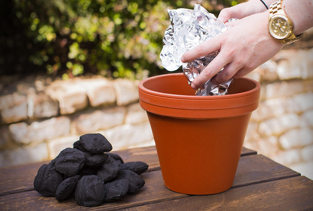 Charcoal and Flower Pot