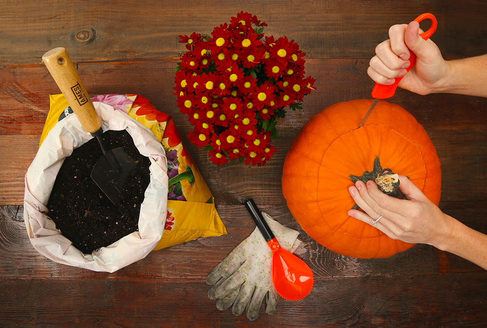 pumpkin being carved