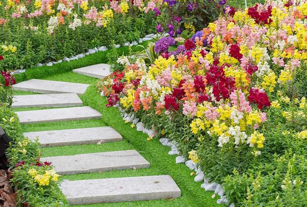 Garden Walkway