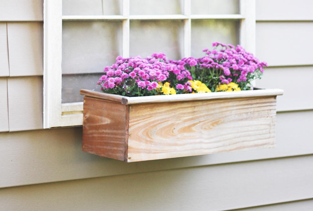 Flowers in Window Planter