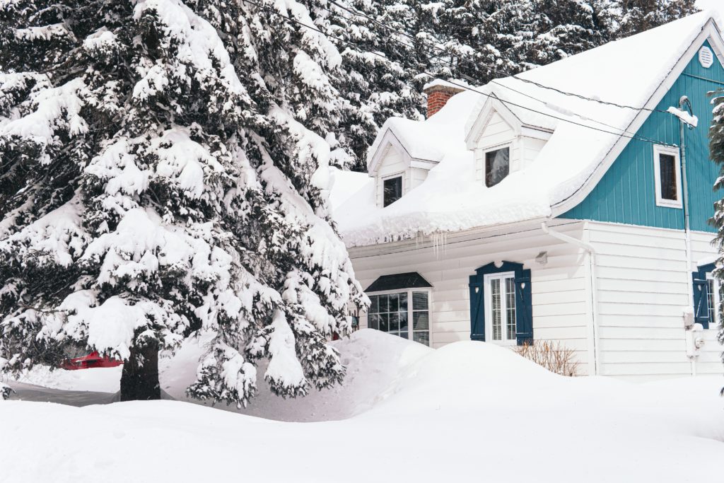 snowy house and trees