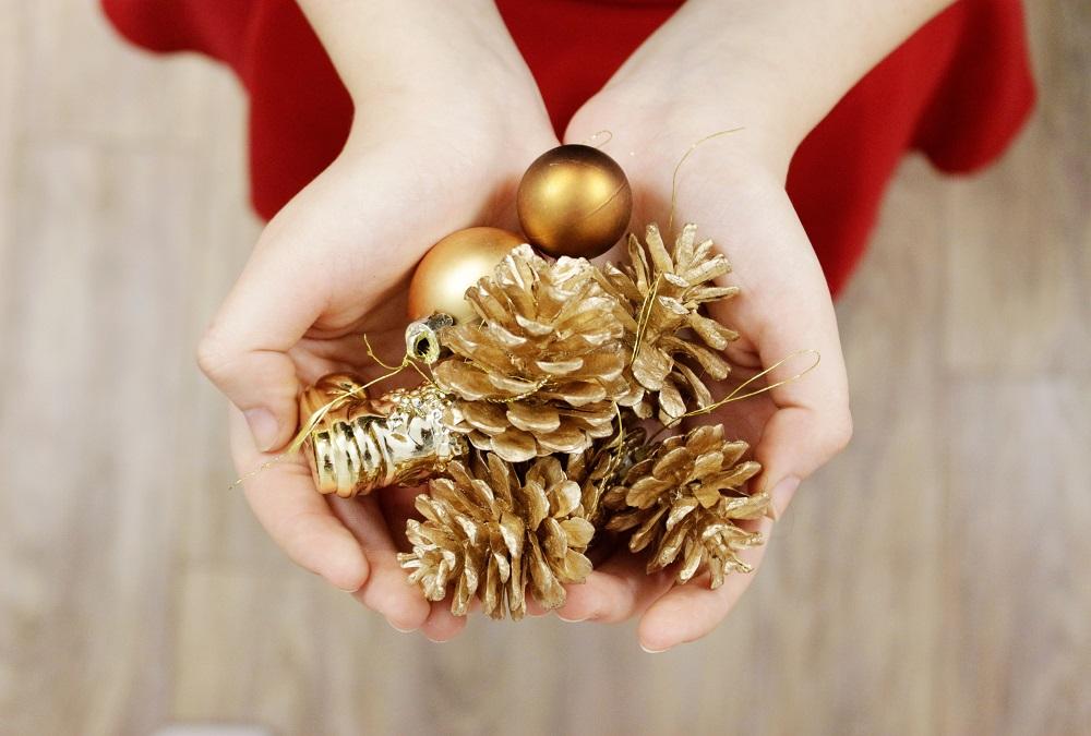 Christmas Pinecones