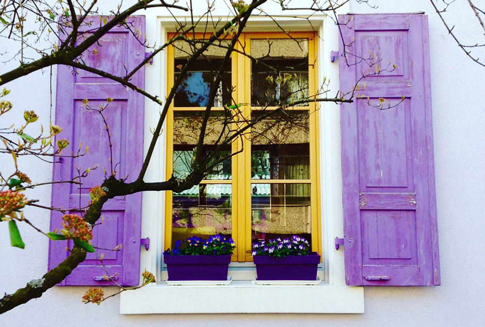 House with purple shutters
